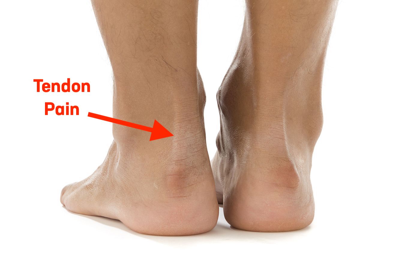 The Complete Guide To Tendon Pain Kinetic Labs   Achilles Tendon Pain 