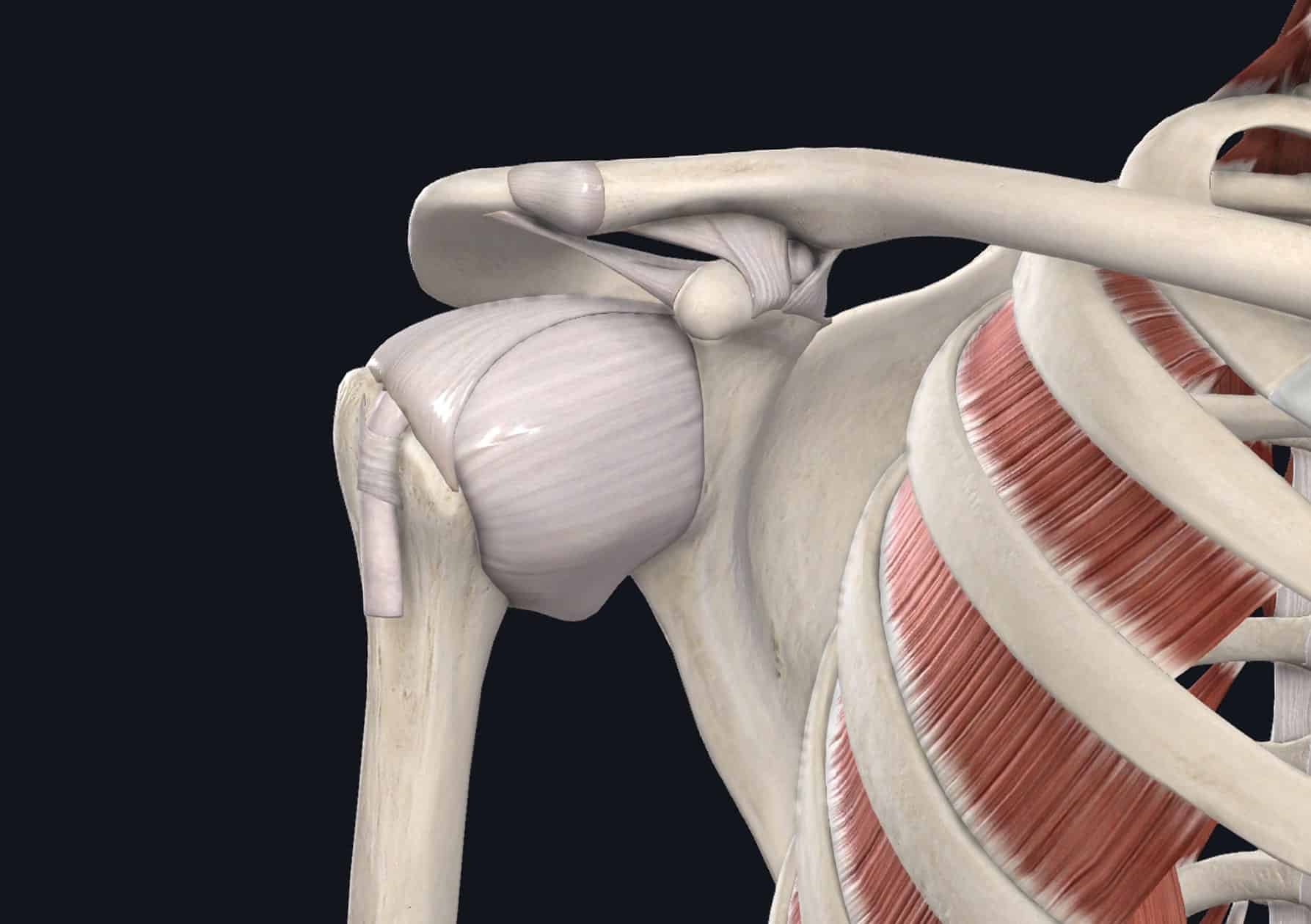 The Complete Guide to Shoulder Instability Labs