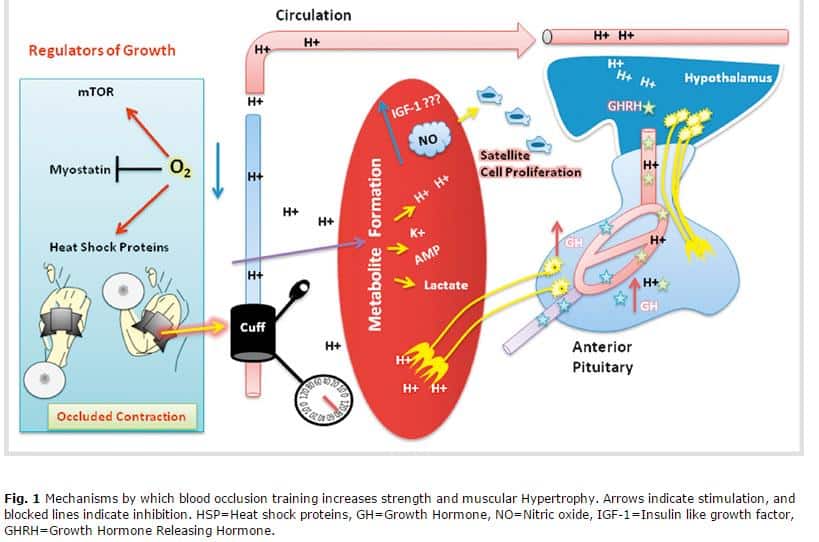 restricted blood flow