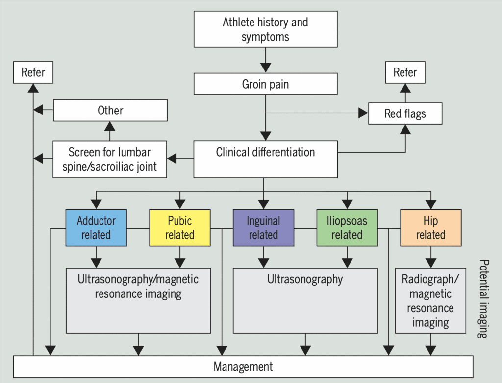 flow chart for groin and hip related pain