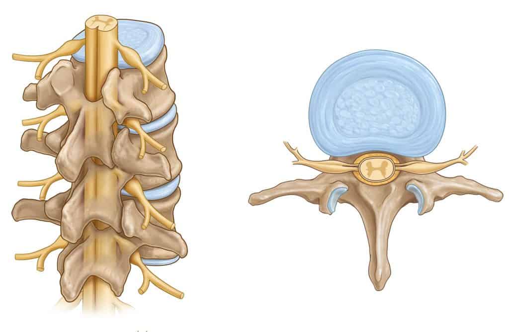 lumbar-spine-anatomy-min-1024x668