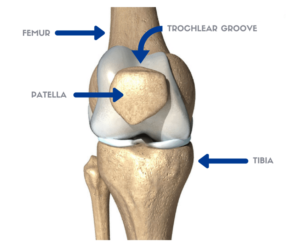 Patella Tracking Disorder - Patella Conditions - Knee - Conditions -  Musculoskeletal - What We Treat 