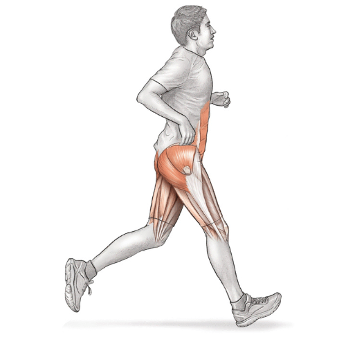 Stress Fracture Rehab – A Bone Stimulator + Cross Training — Run