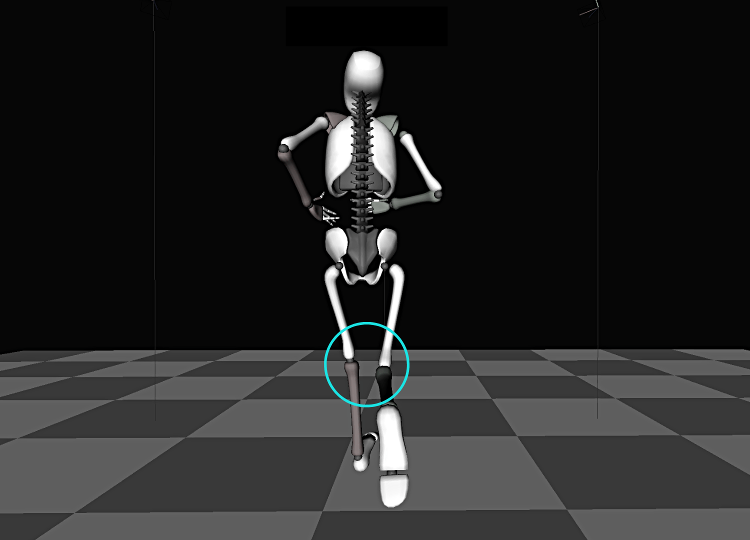 running gait analysis knee window